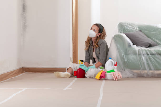 Reliable Commercial Mold Remediation contractor in Woodinville, WA by Mold Remediation HQ
